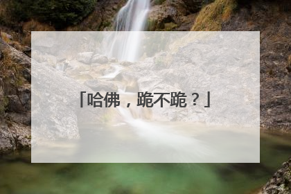 哈佛，跪不跪？